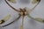 Mid-Century Brass and Glass 5-Arm Sputnik Chandelier, Germany, 1960s For Sale - Image 11 of 12