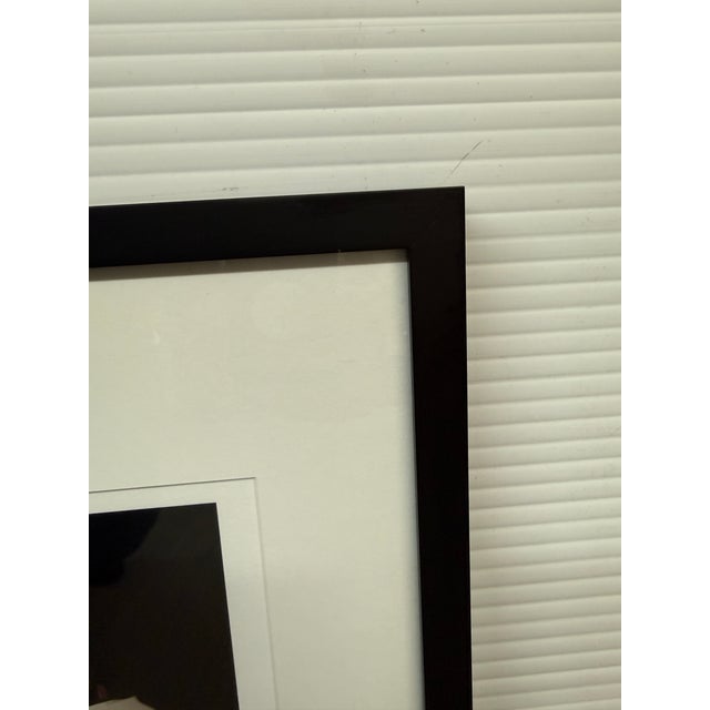 Paper Elsa Hahne “Buckwheat Zydeco” Limited Edition Photograph 2 of 100, Signed For Sale - Image 7 of 12