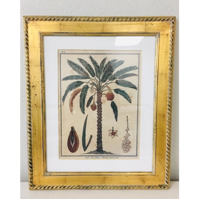 contemporary trowbridge gallery tropical