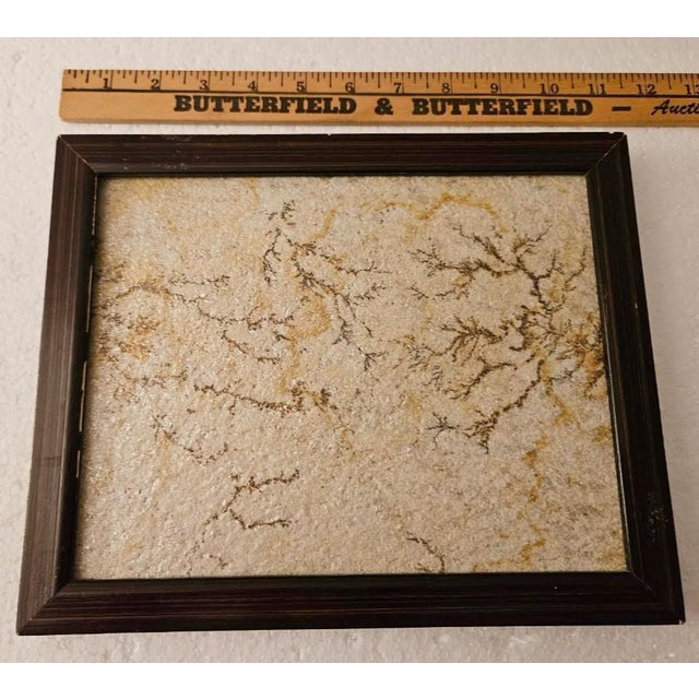 Antique Brazilian Sandstone Framed Plaque Dendrite Fossil Ferns Miniature Geologic Fern For Sale - Image 9 of 14