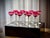 Ruby Cut Crystal Liqueur Glasses attributed to Val Saint Lambert, 1950, Set of 11 For Sale - Image 17 of 17