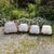 Wood Set of 4 Late 19th Century Eastlake Chairs For Sale - Image 7 of 12