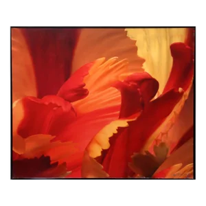 Red and Orange Petal Study, Jonathan Singer, Photography