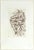 Mid 20th Century German Surrealist Hans Bellmer Etching Engraving Print Cecile Reims Surrealism For Sale - Image 5 of 5