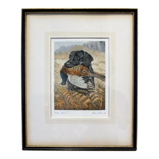 1934 English Aquatint of a Labrador With Pheasant by R. Ward Binks For Sale