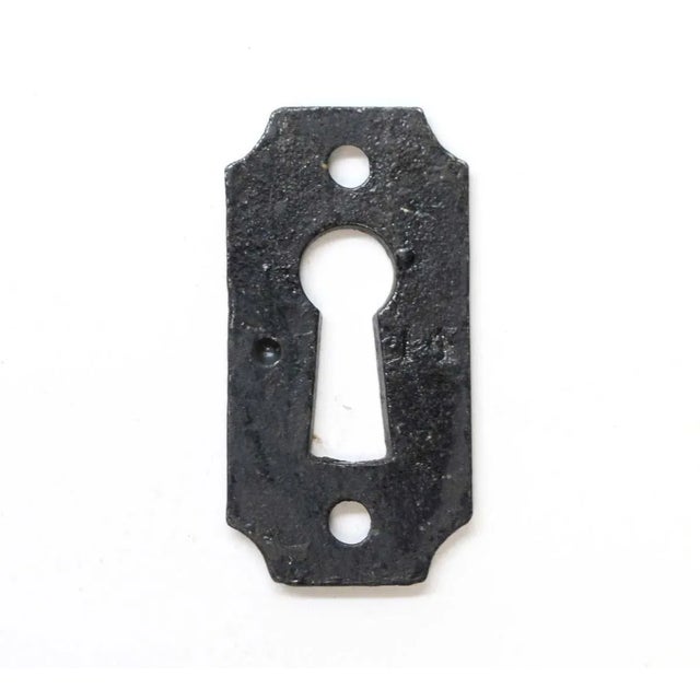 The arched corner design adds a touch of sophistication to your doors, while the black cast iron material brings a classic...