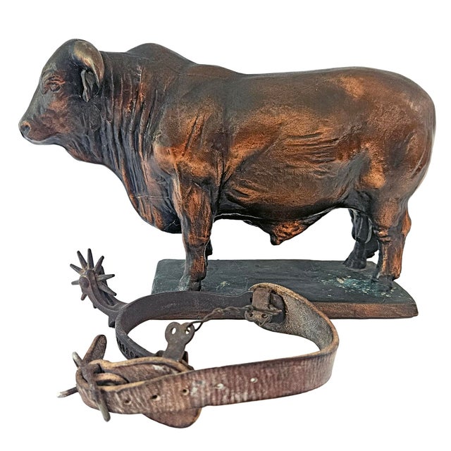 1969 Vintage Santa Gertrudis Breeders International Bronze Bull Trophy Statue For Sale - Image 12 of 13