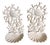 Vintage Coastal Cast - Iron Coral & Seashells Sconces - A Pair For Sale