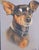 Portrait of a Dog - "My Fur Kid" - Artist Signed, a Bright Addition to Any Decor! For Sale In Miami - Image 6 of 10