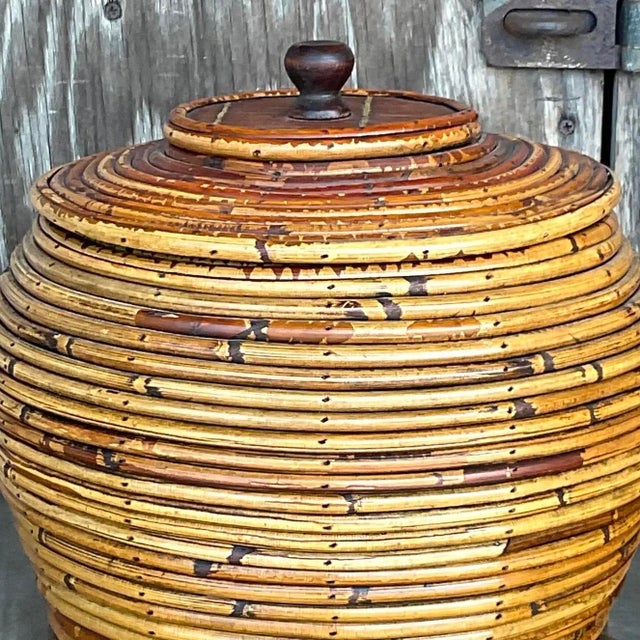 Vintage Costal Pencil Reed Low Lidded Urn For Sale - Image 12 of 13