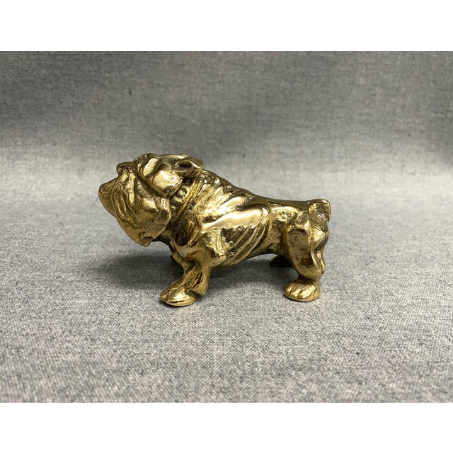 A lovely brass bulldog in all its wrinkled glory! The solid brass figurine makes a great desk paperweight, shelf decor, or...