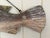 Wood Early 20th Century New England Folk Art Hand-Carved Wooden Fish Trade Sign For Sale - Image 7 of 12