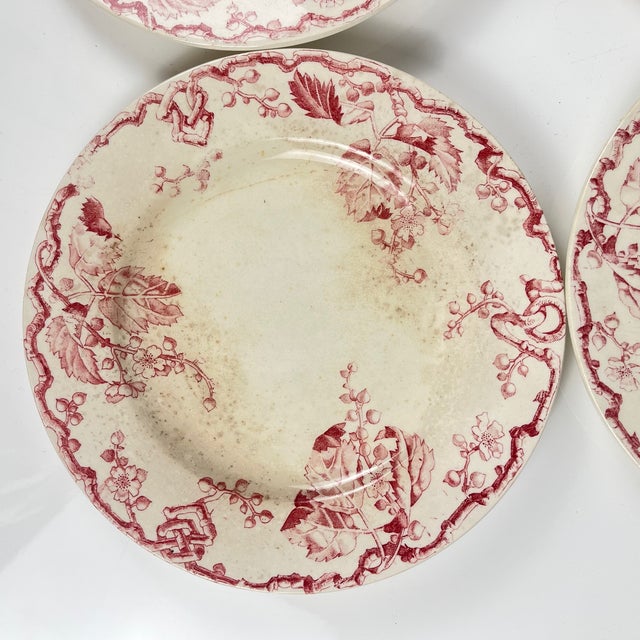 Vintage Terre De Fer Dinner Plates from KG Lunéville, 1800s, Set of 4 For Sale - Image 9 of 16
