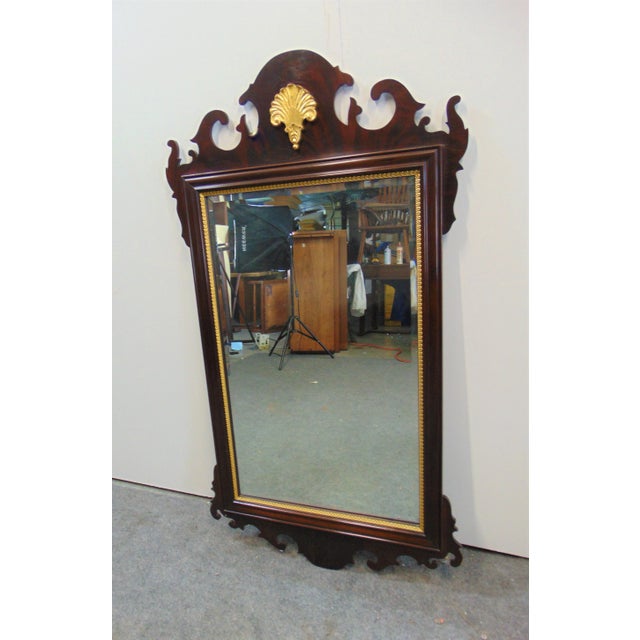 Chippendale Councill Chippendale Flame Mahogany Gilt Shell Mirror For Sale - Image 3 of 6