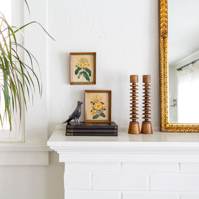 This pair of petite antique botanical prints are illustrations published in Sir Joseph Paxton's Magazine of Botany from...