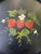 Vintage round, hand painted strawberry tole serving tray. Tray measures 13" in diameter by 1 1/4" in height. The back has...