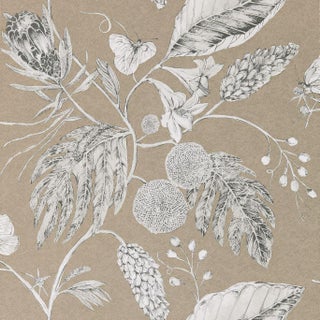 Harlequin Amborella Wallpaper in Pebble For Sale