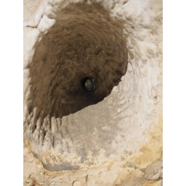 15th or 16th Century Marble Gargoyle Fountain Spout From Arezzo, Italy For Sale - Image 10 of 13