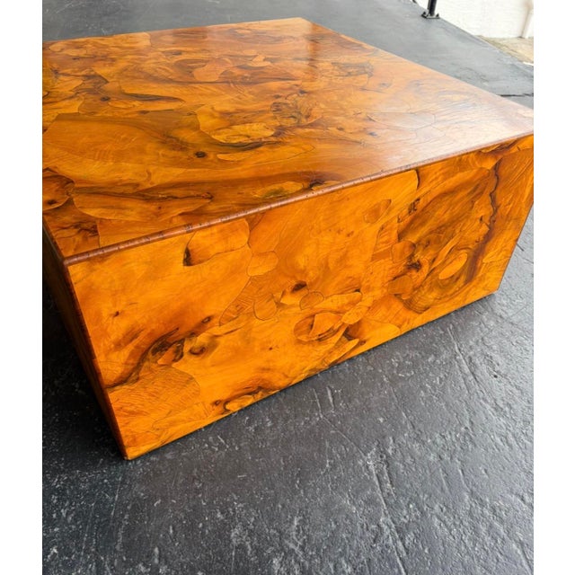 Brown Lj Newton Italian Burl Coffee Table on Casters For Sale - Image 8 of 12