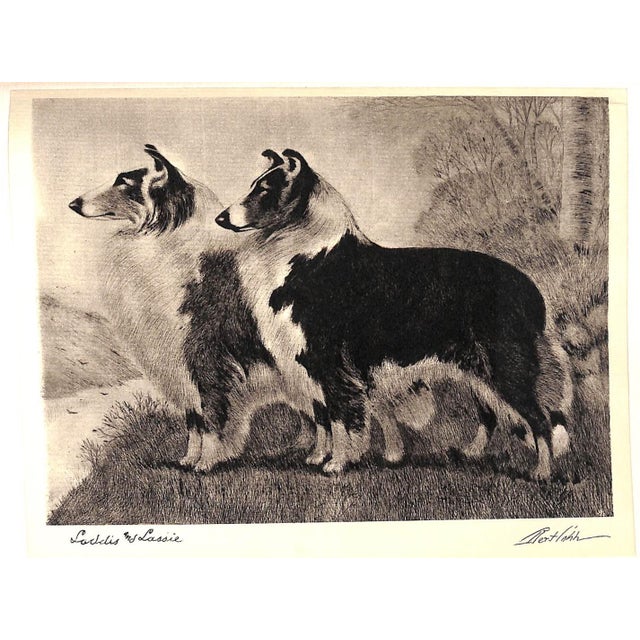White "Portraits of Dogs" 1931 Cobb, Bert For Sale - Image 8 of 12