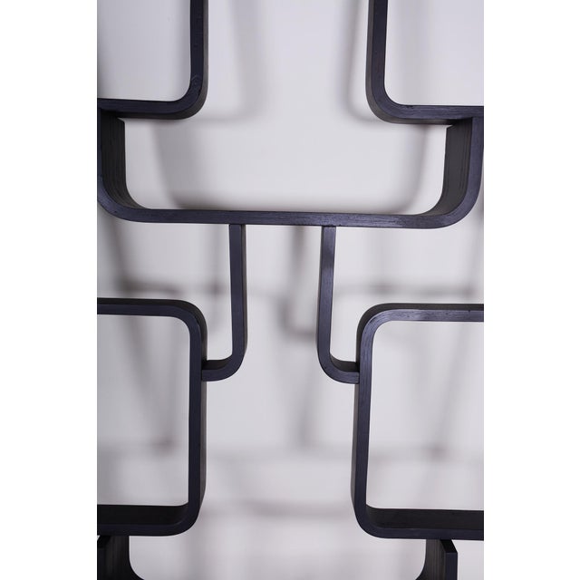 Vintage Room Divider by L. Volak for Drevopodnik Holesov, 1960s For Sale - Image 10 of 15