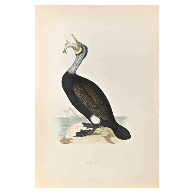 Alexander Francis Lydon, Cormorant, Woodcut Print, 1870 For Sale