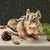 This finely executed miniature squirrel is hand carved from tagua, a dense plant-based material prized for its smooth...