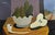 Green Mid Century Modern 'Tabletop With Pears' Vintage Original Still Life Tempera Painting by Swedish Artist Eric Cederberg (1897-1984), Framed For Sale - Image 8 of 12