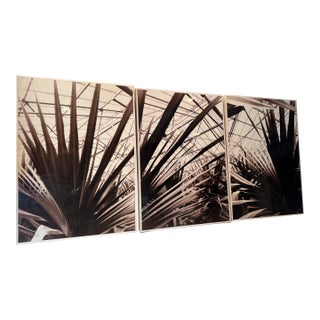 Sepia Toned Photograph Triptych by Guido Orsini For Sale