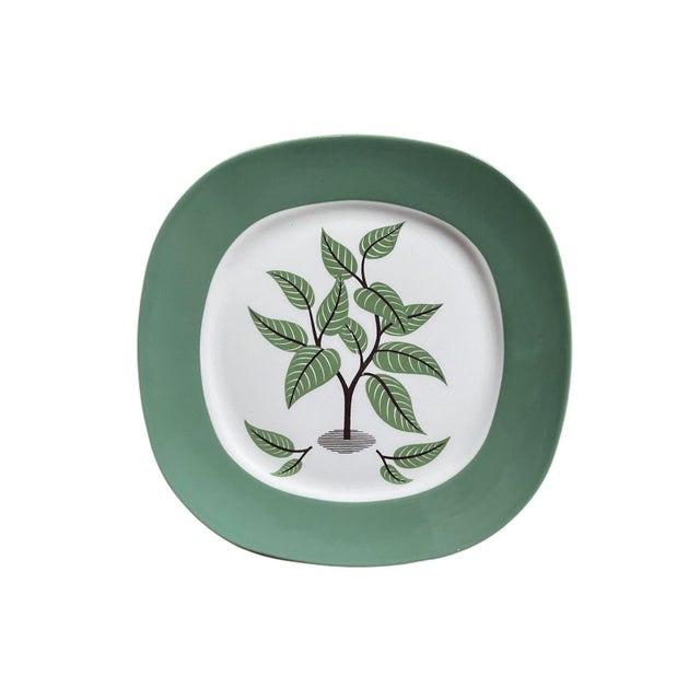 Set of Four (4) MCM Taylor Smith Taylor Dinner Plates in Coffee Tree Pattern For Sale - Image 4 of 10