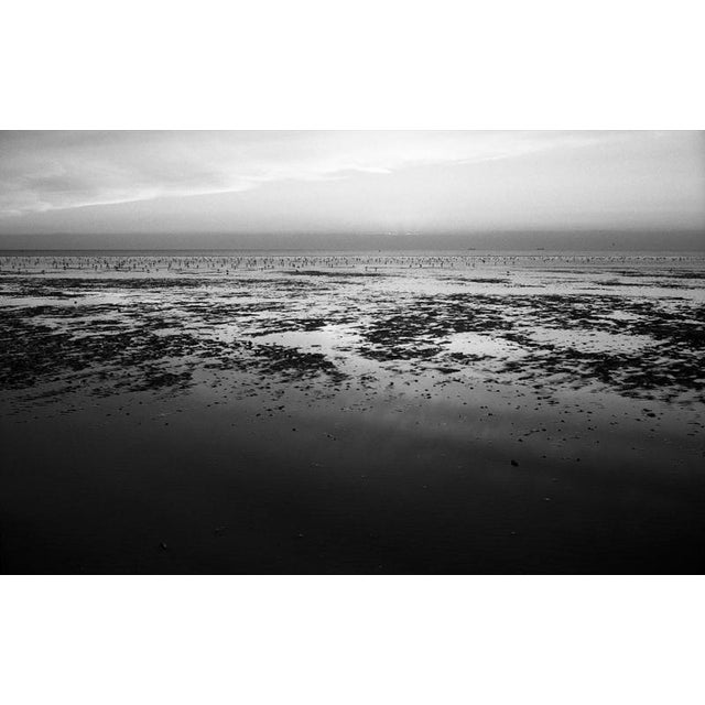 Paul Cooklin, Low Tide, Edition of 50 For Sale - Image 4 of 4