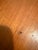This stool has been in my husband’s family for many years. Aunt Miriam was an avid collector of high/end furniture and...