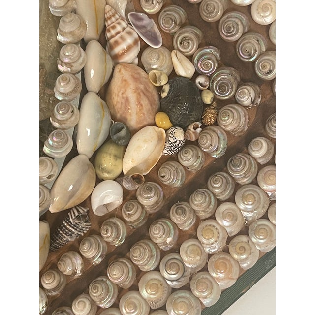 Antique Sea Shell Sailors Valentines American Folk Art For Sale - Image 4 of 6