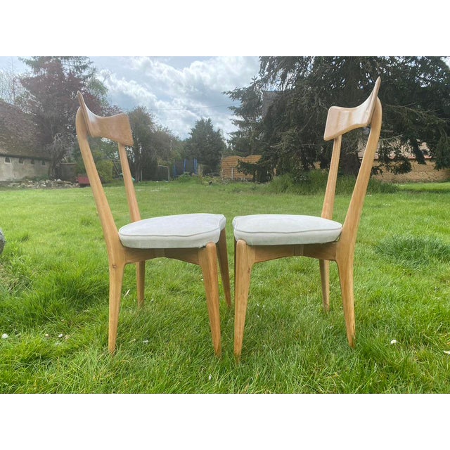 1950s Set of Chairs by Ico Parisi for Ariberto Colombo, 1950s For Sale - Image 5 of 8