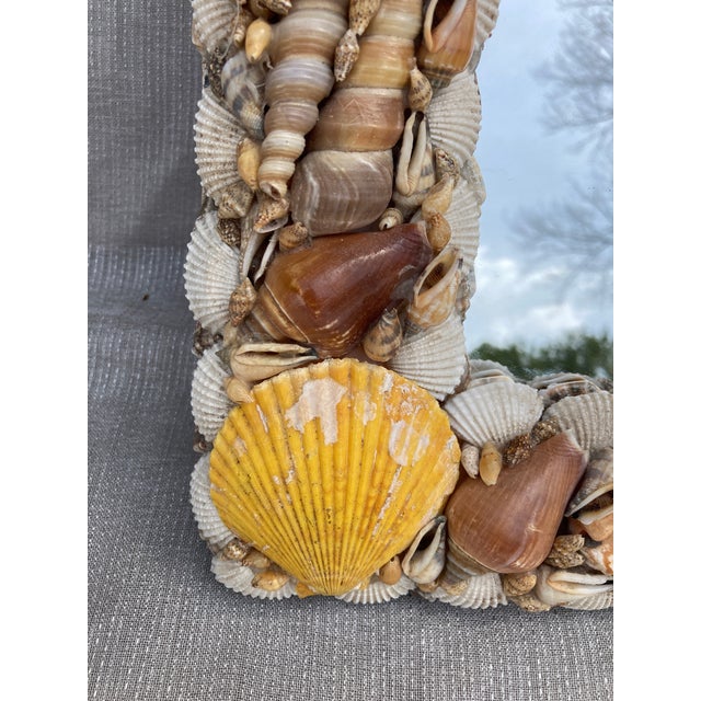 Glass Small Vintage Seashell Wall Mirror For Sale - Image 7 of 10