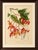 Title: original antique botanical chromolithograph of pride of burma, c. 1880 : a magnificent original antique botanical...