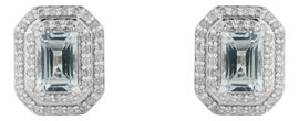 Example of Earrings