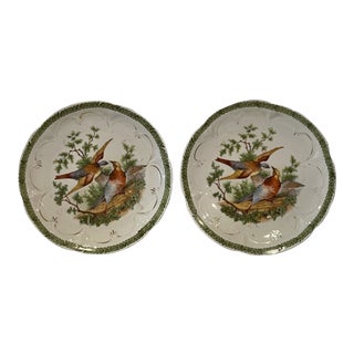 Antique 19th Century Hand-Painted Bird Plates- a Pair For Sale