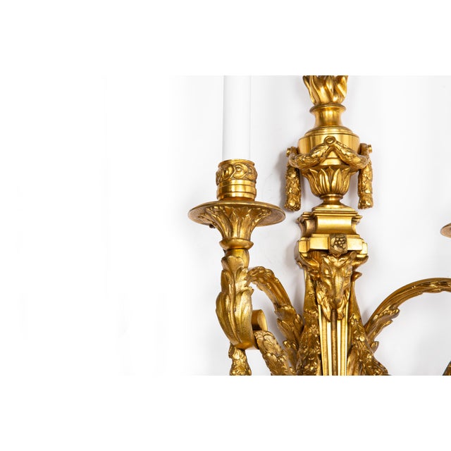 19th Century French Louis XVI Style Two-Light Wall Sconces Candelabra - a Pair For Sale - Image 11 of 14