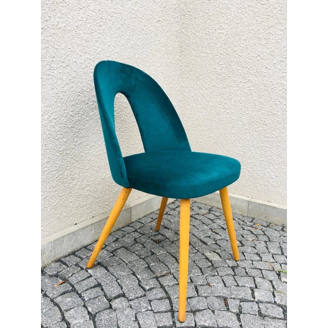 Mid-Century Dining Chairs by Antonín Šuman for Tatra, Set of 4 For Sale - Image 17 of 18