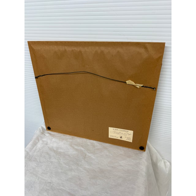 Lee Mann "Snow Geese in Flight" Original Photographic, Framed For Sale - Image 12 of 12