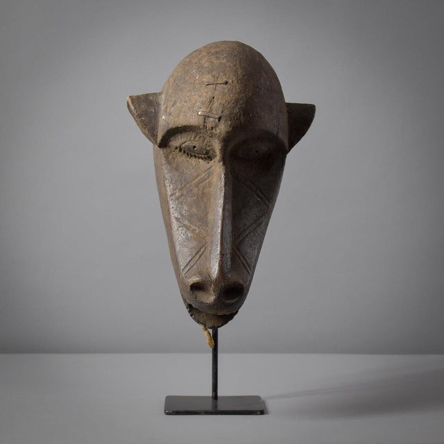Early 20th Century Gurunsi Baboon Animalistic Mask Burkina Faso For Sale In Denver - Image 6 of 12