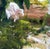 Impressionist After the Rain by Harold Deist | Oil on canvas Flowers and greenery after rainfall. For Sale - Image 3 of 4