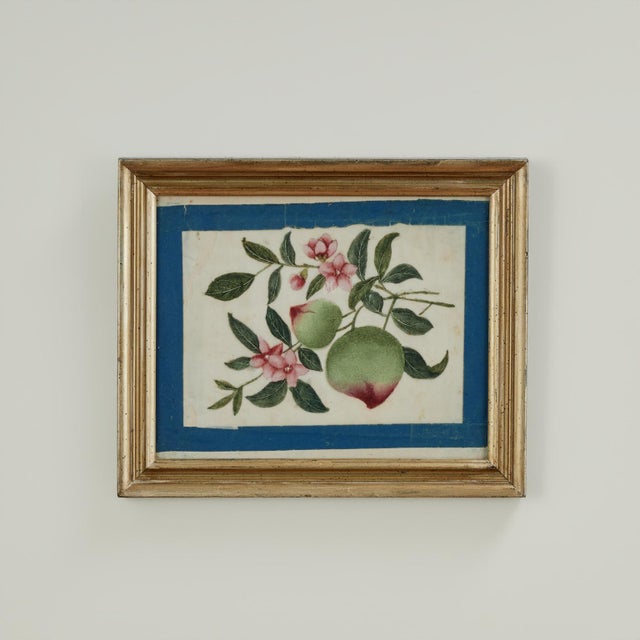 Set of Nine Antique Chinese Botanical Fruit Paintings on Pith Paper For Sale - Image 14 of 18