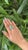 Set in 18k Gold, Art Deco Emerald Sugarloaf, Turquoise & Diamond Engagement Ring, Us Size 6 For Sale - Image 12 of 16