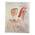 David Hockney Art Book: Drawings 1954-1994 - First Edition For Sale