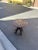 Traditional 1940s California Tile Top Table For Sale - Image 3 of 12