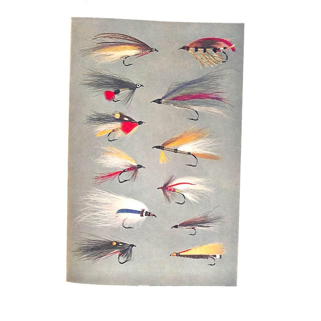 White "Streamer Fly Fishing in Fresh and Salt Water" 1950 Bates, Joseph D. Jr. For Sale - Image 8 of 10