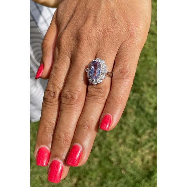 GIA Natural 9.66CTS VS F Diamond No Heat Sapphire 18K Gold Dinner Halo Ring, size 6 For Sale - Image 9 of 10