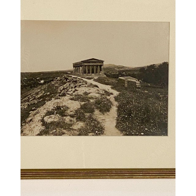 View of Southern Italian Ancient Temple at Paestum, Italy For Sale - Image 4 of 5